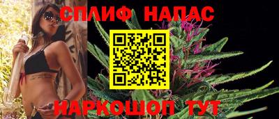 гидропоника Будённовск