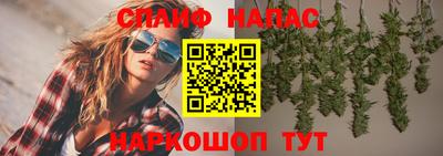 гидропоника Будённовск