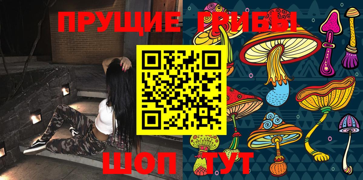 купить наркоту  Тюмень  Псилоцибиновые грибы мицелий 
