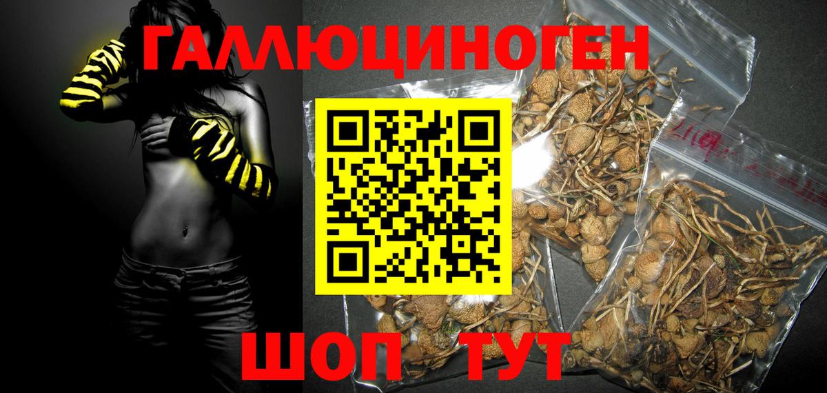 Тюмень  Псилоцибиновые грибы мухоморы  Вход с VPN 