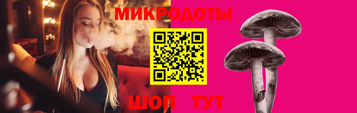 Галлюциногенные грибы Psilocybe Тюмень